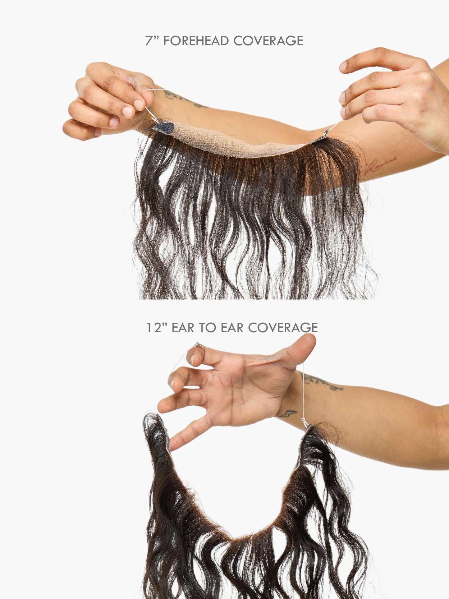 Receding Hairline - Clipfree Band